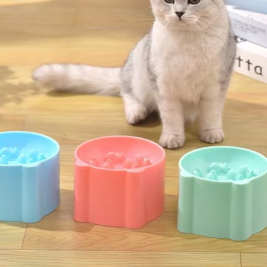 Gamelle anti glouton chat existe en bleu