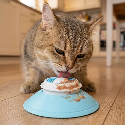 Gamelle anti glouton Chat idéal pour tous les chats gourmands 