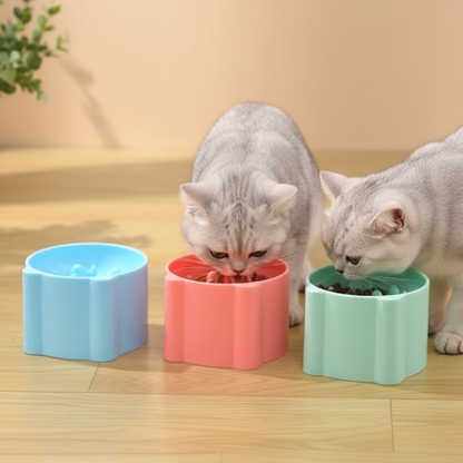 Gamelle anti glouton chat lot 3 couleurs fond marron clair