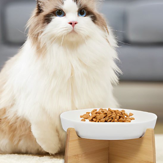 gamelle anti glouton chat pieds en bois scandinave 