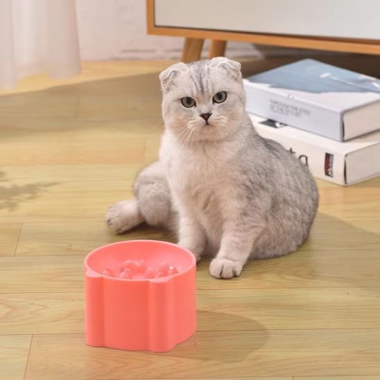Gamelle anti glouton chat position idéal pour le repas du chat