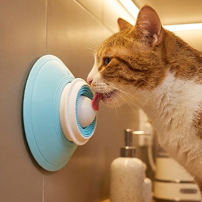 Gamelle anti glouton Chat régule l'appétit des grands et des petits