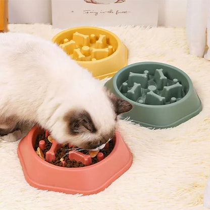 Gamelle anti glouton chat régule l'appétit des grands et des peits