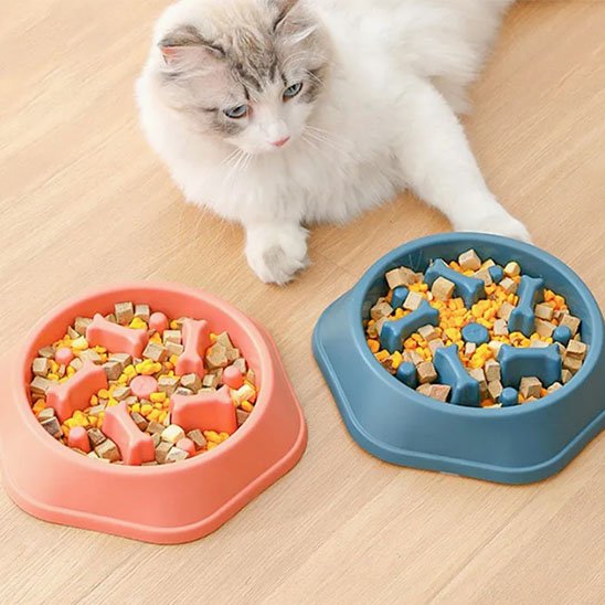 Gamelle anti glouton chat rose ou bleu