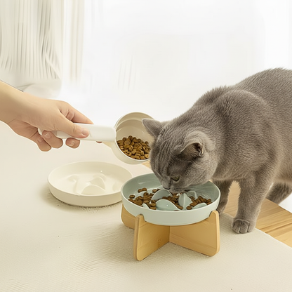Gamelle anti-glouton pastel vert avec British Shorthair