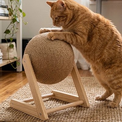 grand Griffoir Chat avec chat debout faisant tourner boule sisal