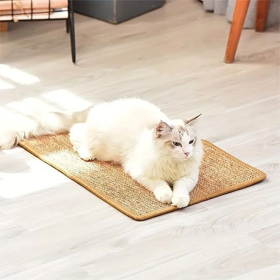 Griffoir chat | Design Protect - Chatjoue