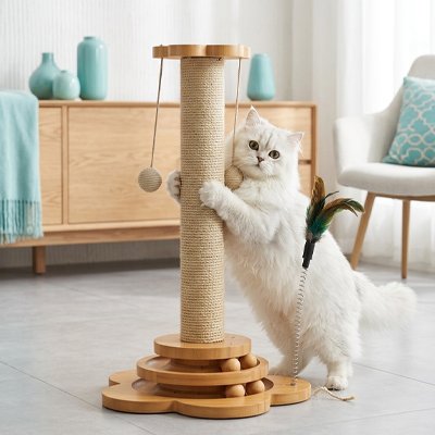 Griffoir Chat de dimensions disponibles