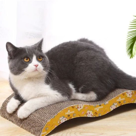 Griffoir chat décor festif de chats et confettis | Protectmur - chatjoue - Chatjoue