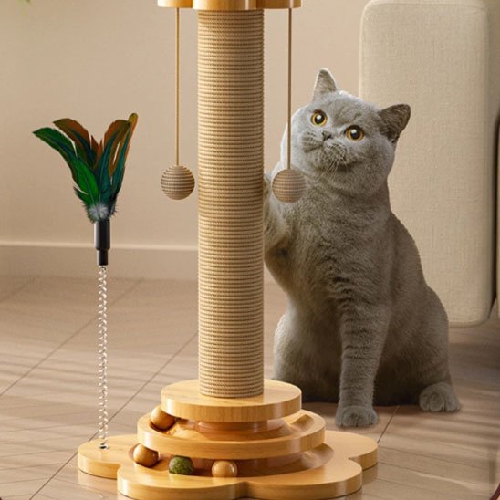 Griffoir chat en bois possèdes plusieurs boules