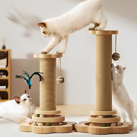 Griffoir chat en bois sert pour tous les chats