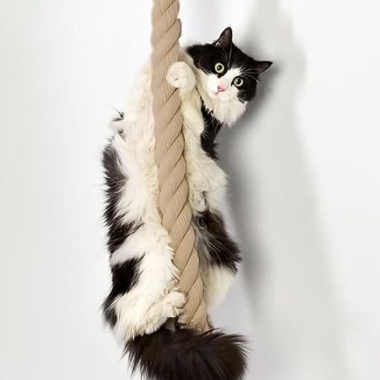 Griffoir chat corde murale | élégante chatjoue - Chatjoue