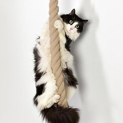Griffoir chat corde murale | élégante chatjoue - Chatjoue