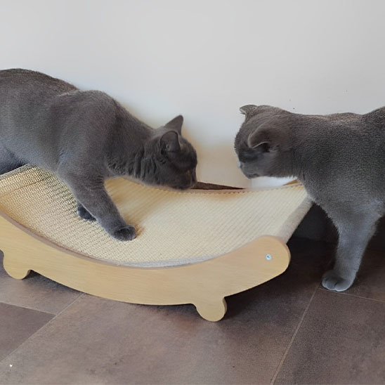 Griffoir chat | Protection Élégante - Chatjoue