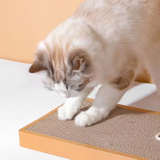 Griffoir chat avec petite souris blanche | Ultra - résistant - Chatjoue