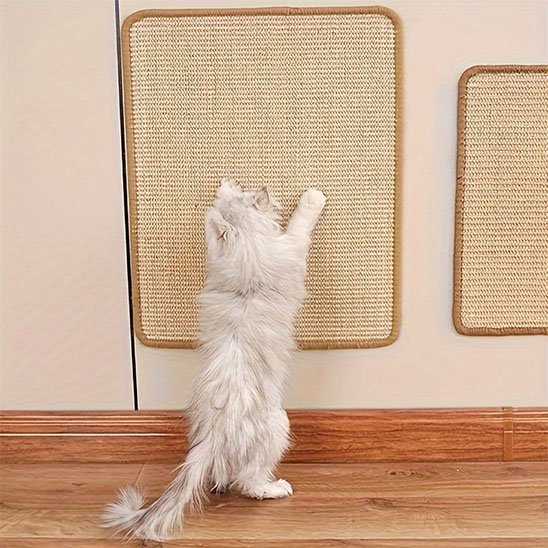 Griffoir chat | Design Protect - Chatjoue
