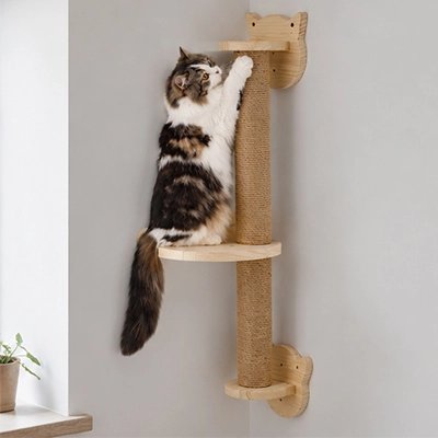 Griffoir Chat mural avec chatte grimpée tablette repos