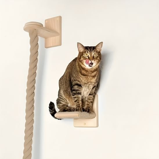 Griffoir chat corde murale | élégante chatjoue - Chatjoue