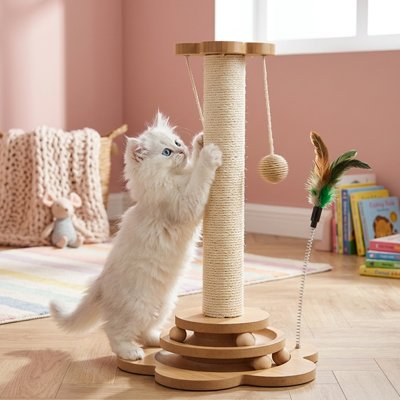 Griffoir Chat pour chat de tout âge