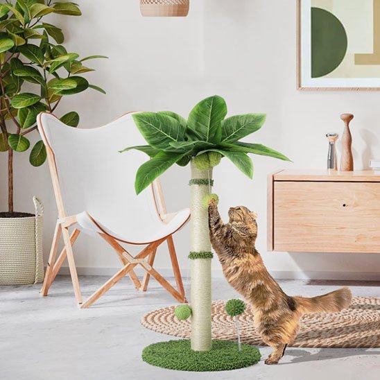 Griffoir chat | Design Protect - Chatjoue