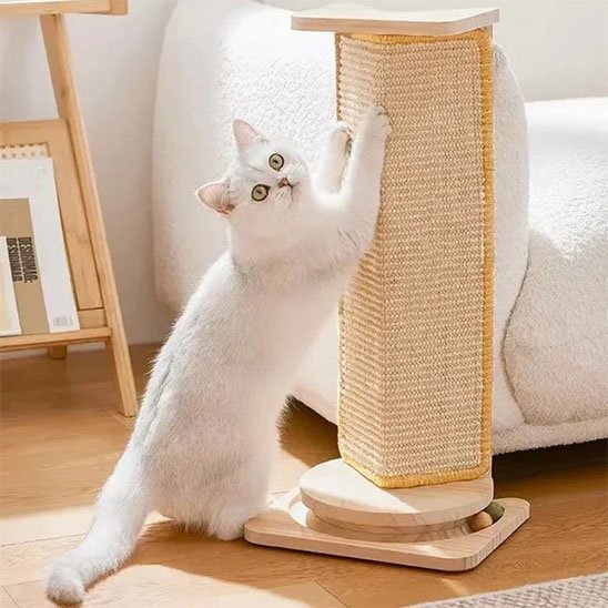 Griffoir chat | Design Protect - Chatjoue