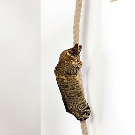 Griffoir chat corde murale | élégante chatjoue - Chatjoue