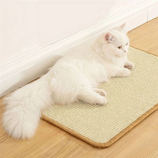 Griffoir chat | Design Protect - Chatjoue