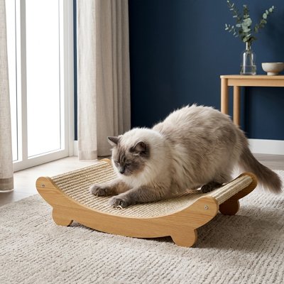 Griffoir Chat utile pour tous les chats