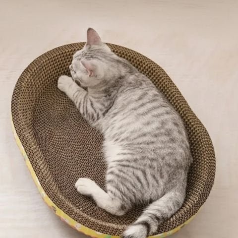 Griffoir en carton pour chat décore chats ou champignons| Proteccanapé - chatjoue - Chatjoue