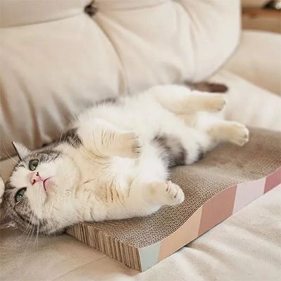 Griffoir en carton pour Chat recyclable et durable| Durafélin - chatjoue - Chatjoue