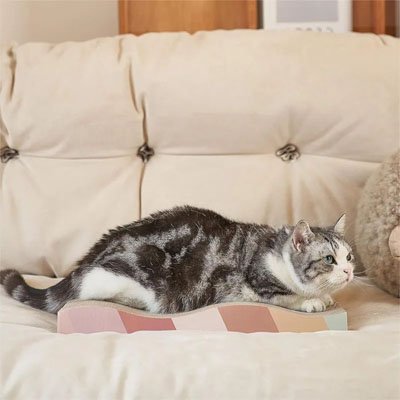 Griffoir en carton pour Chat recyclable et durable| Durafélin - chatjoue - Chatjoue