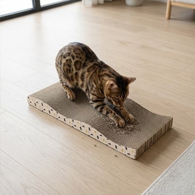 griffoir en carton pour Chat évite les griffures sur les meubles