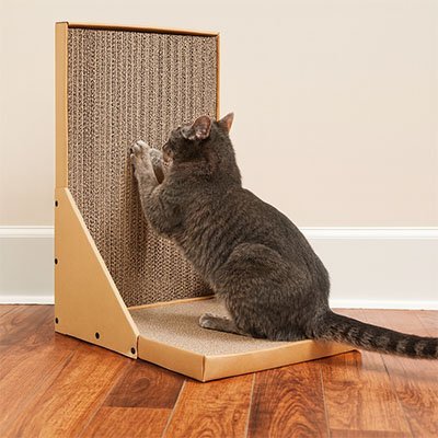 Griffoir en carton pour Chat design | ÉcoProtect - chatjoue - Chatjoue