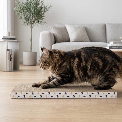 griffoir en carton pour Chat le chat l'utilise facilement