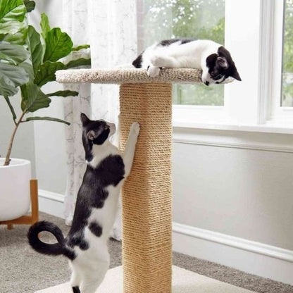 Griffoir pour chat corde de remplacement | PawProtect - Chatjoue