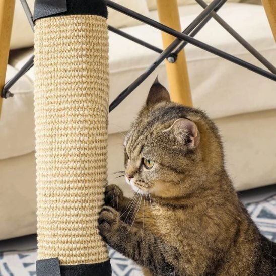 Griffoir pour chat fixation facile | ProtectDesign - Chatjoue