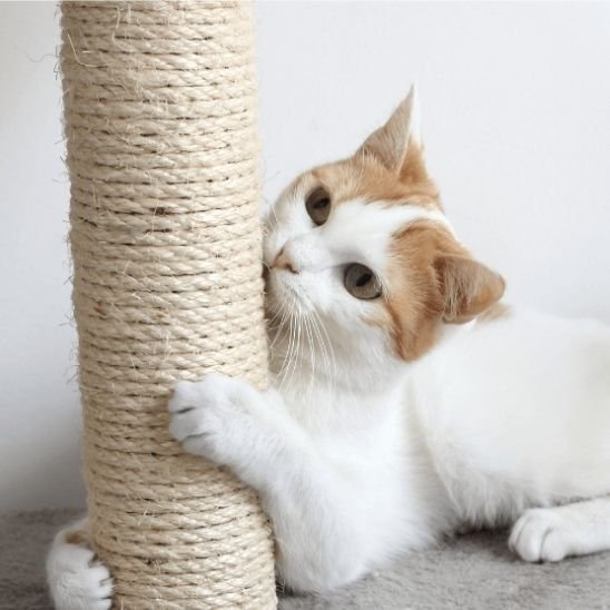 Griffoir pour chat corde de remplacement | PawProtect - Chatjoue