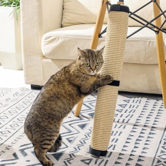 Griffoir pour chat fixation facile | ProtectDesign - Chatjoue