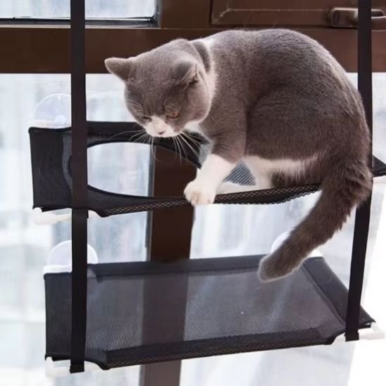 Hamac chat fenêtre avec une ouverture  