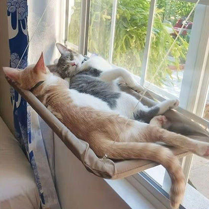 hamac chat fenêtre convient pour tous les espaces 