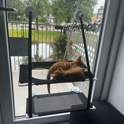 Hamac chat fenêtre possibilité 2 chats 