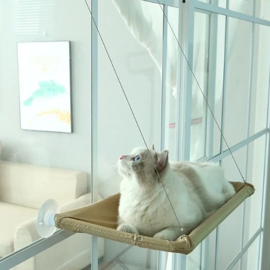 hamac chat fenêtre pour un poids maximum de 7 kg