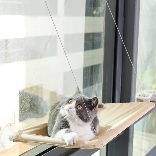 hamac chat fenêtre tous types de fenêtres 