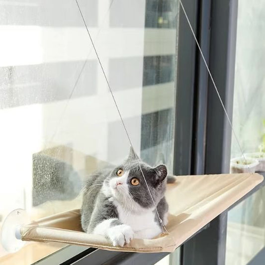 hamac chat fenêtre tous types de fenêtres 