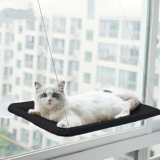 hamac chat fenêtre toutes surfaces lissent  