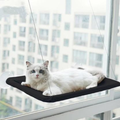 hamac chat fenêtre toutes surfaces lissent  
