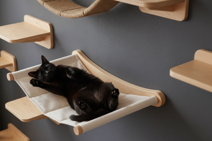 Hamac chat noir appartement parisien