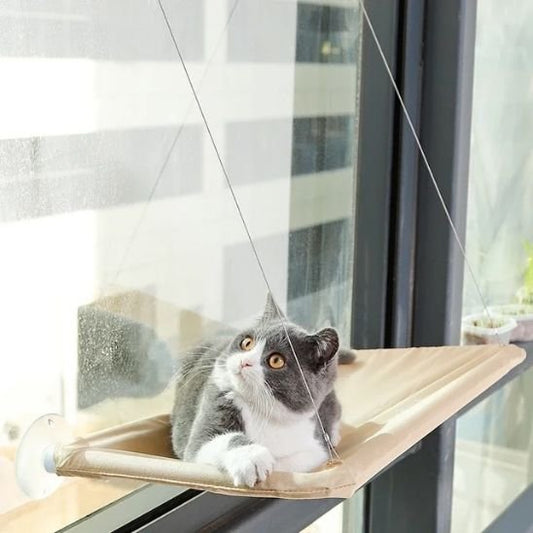 Hamac pour chat de couleur crème