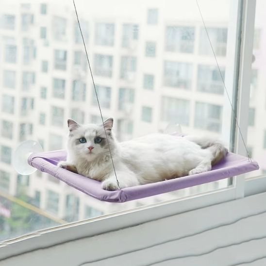 Hamac pour chat de couleur violet