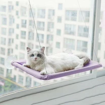 Hamac pour chat de couleur violet